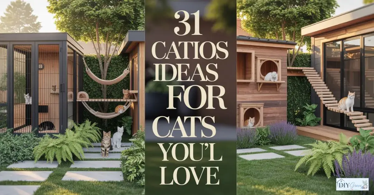 Catios Ideas for Cats